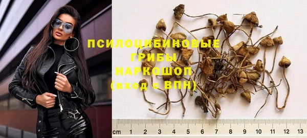 мескалин Вяземский