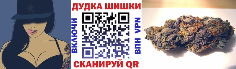 Бошки Шишки планчик  KRAKEN как зайти  Данков 